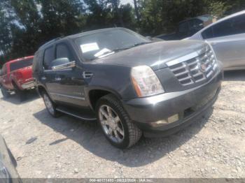  Salvage Cadillac Escalade