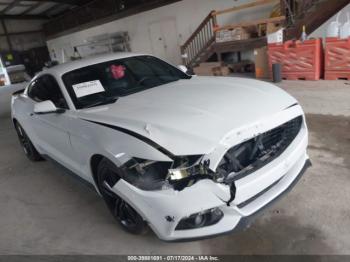  Salvage Ford Mustang