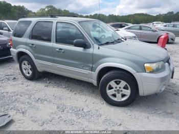  Salvage Ford Escape