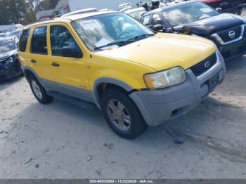  Salvage Ford Escape