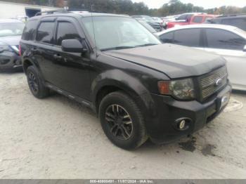  Salvage Ford Escape