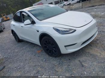  Salvage Tesla Model Y