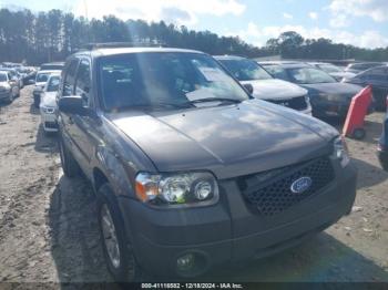  Salvage Ford Escape