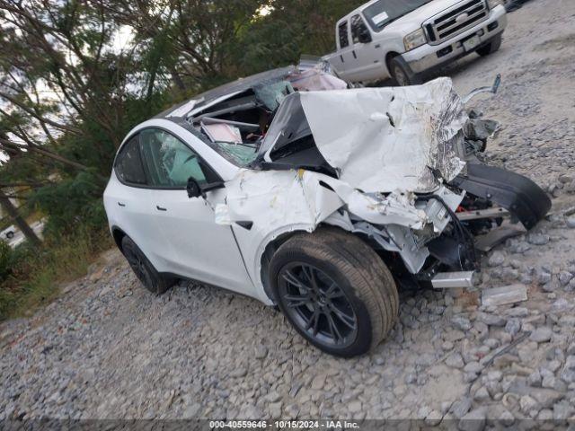  Salvage Tesla Model Y