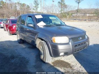  Salvage Ford Escape