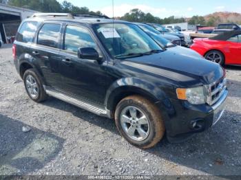  Salvage Ford Escape