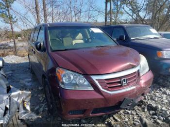  Salvage Honda Odyssey