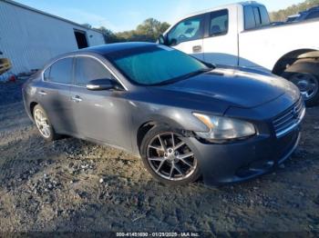  Salvage Nissan Maxima