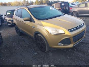 Salvage Ford Escape
