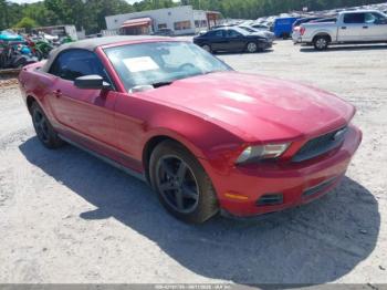  Salvage Ford Mustang