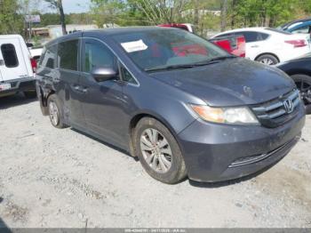  Salvage Honda Odyssey