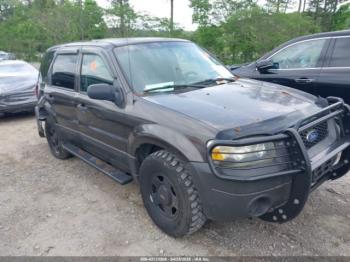  Salvage Ford Escape
