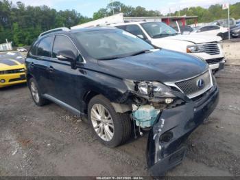  Salvage Lexus RX