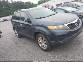  Salvage Kia Sorento