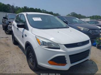  Salvage Ford Escape