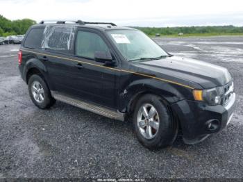  Salvage Ford Escape