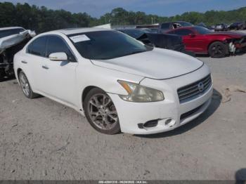  Salvage Nissan Maxima