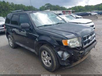  Salvage Ford Escape