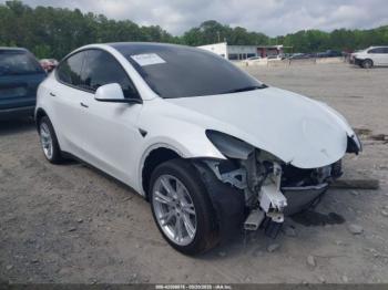  Salvage Tesla Model Y
