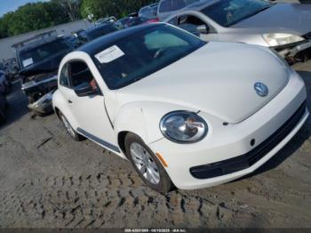 Salvage Volkswagen Beetle