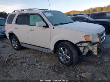  Salvage Ford Escape