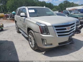  Salvage Cadillac Escalade
