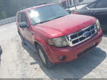  Salvage Ford Escape