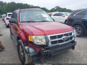  Salvage Ford Escape