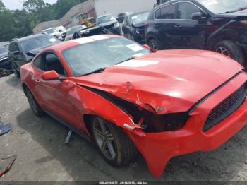  Salvage Ford Mustang