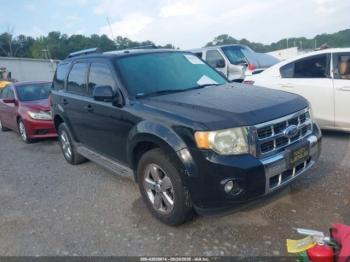  Salvage Ford Escape