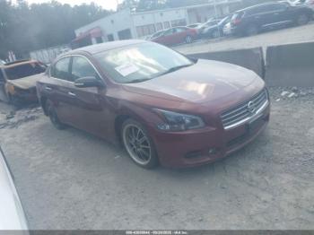  Salvage Nissan Maxima