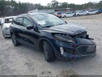  Salvage Ford Escape