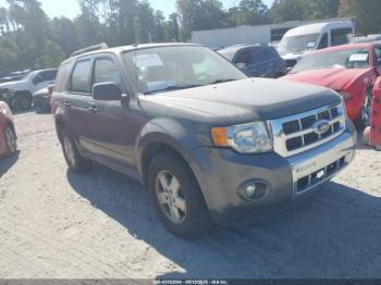  Salvage Ford Escape