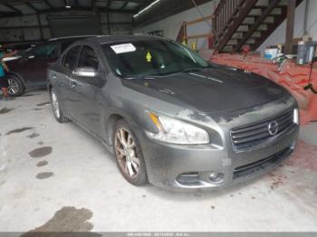  Salvage Nissan Maxima
