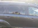 Dodge Journey Crossroad Plus Image 7