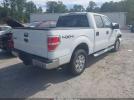 Ford F-150 Image 7