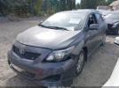 Toyota Corolla S Image 8