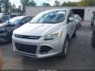 Ford Escape Titanium Image 9
