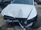 Tesla Model Y Image 5