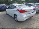 Hyundai ELANTRA Gls Image 11