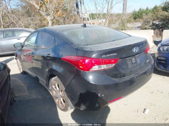 Hyundai ELANTRA Limited Image 5