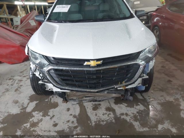Chevrolet Equinox Ls Image 4