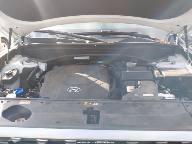 Hyundai PALISADE Calligraphy Image 8