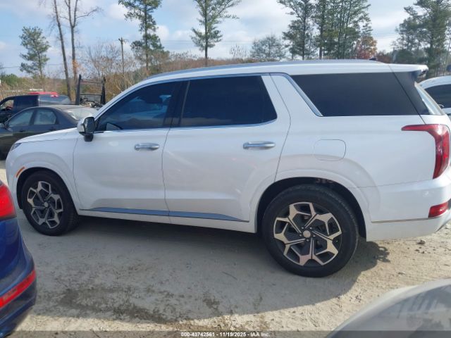 Hyundai PALISADE Calligraphy Image 9