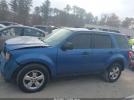Ford Escape Xlt Image 7