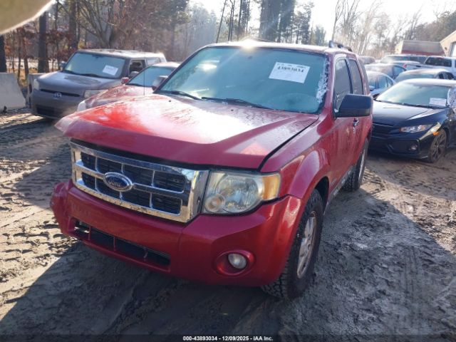 Ford Escape Xlt Image 10