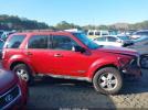 Ford Escape Xlt Image 3