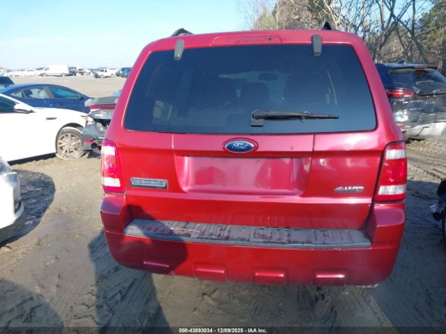 Ford Escape Xlt Image 8