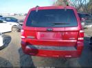 Ford Escape Xlt Image 8