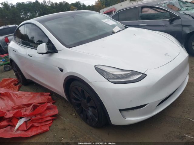 Tesla Model Y Performance Dual Motor All-wheel Drive Image 1